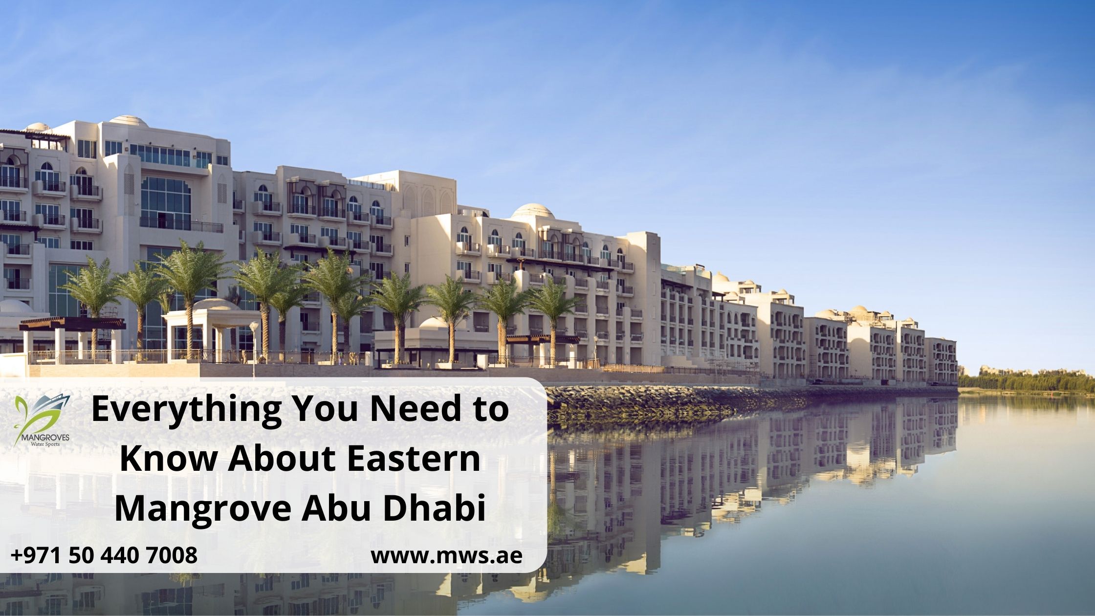 Everything You Need to Know About Eastern Mangrove Abu Dhabi