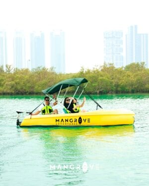 ELECTRIC YELLOW BOAT CRUISE at REEM CENTRAL PARK