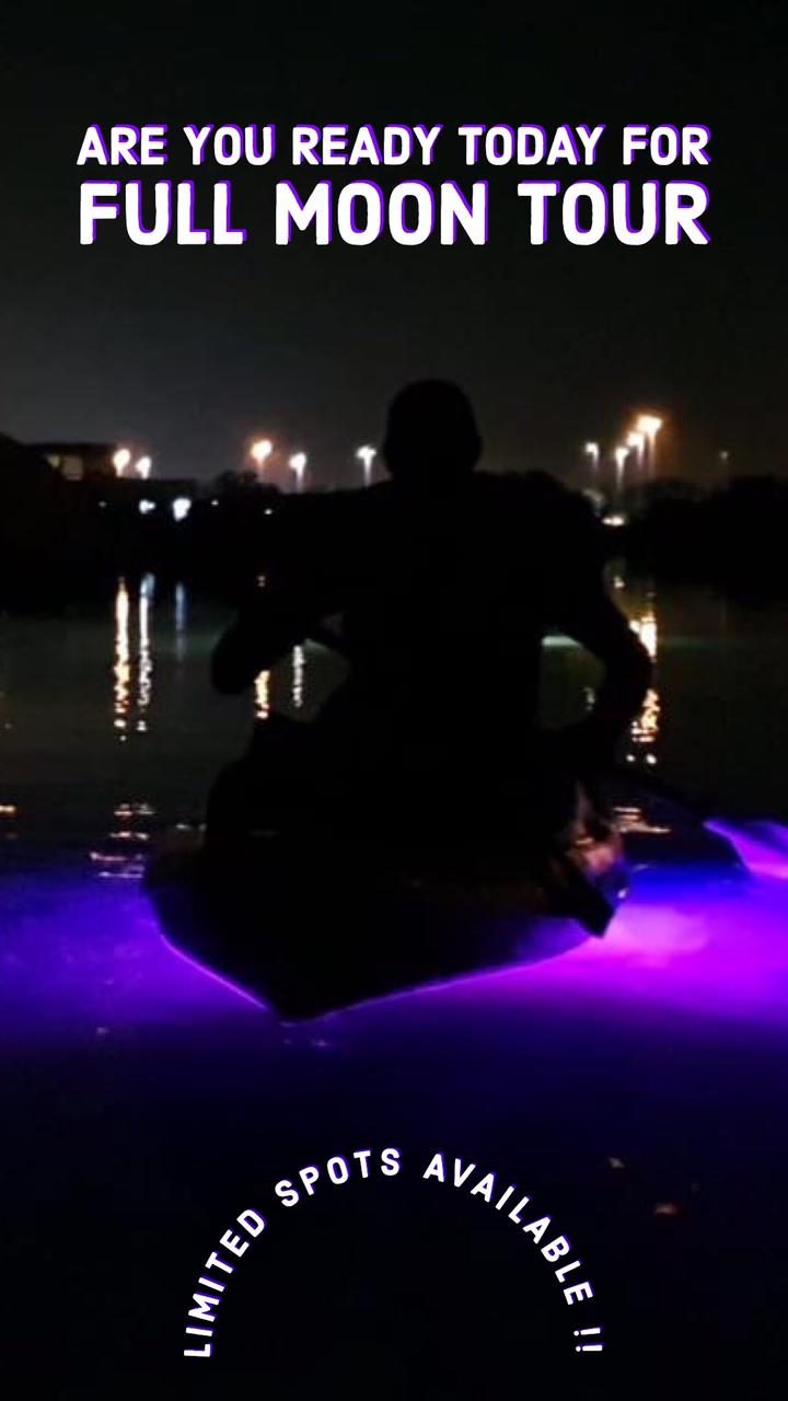 Glow Full Moon Experience - Image 3