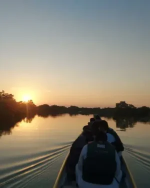 Sunset Electric Dragon Boat Experience