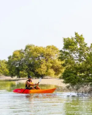 Single Kayaking Experience
