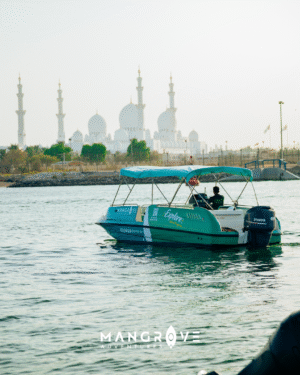 FLAMINGO BOAT