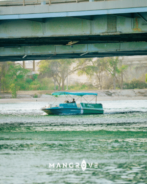 Alternative view of FLAMINGO BOAT