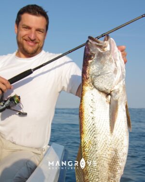 Alternative view of FISHING TRIP