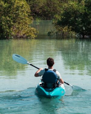 Alternative view of Guided Kayak Tour